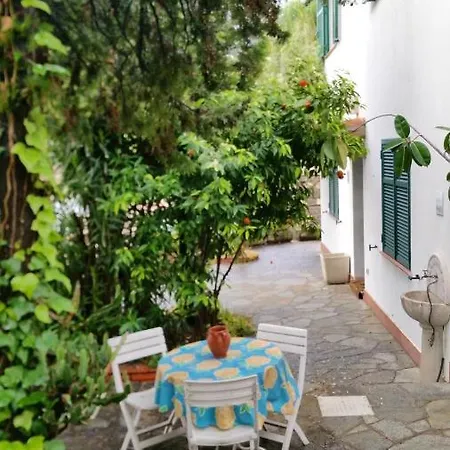 With 2 Bedrooms In With Wonderful Sea View And Enclosed Garden 200 M From The Beach 公寓 欧斯佩达蒂